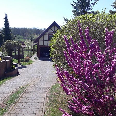 Ferienwohnung Zur Saaleaue Wettin 外观 照片