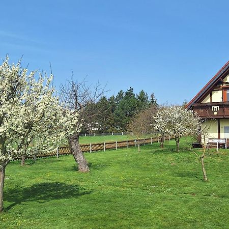 Ferienwohnung Zur Saaleaue Wettin 外观 照片