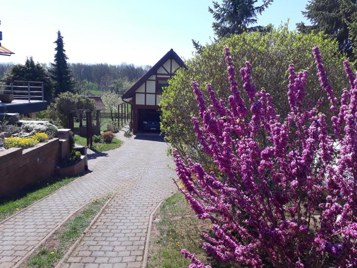 Ferienwohnung Zur Saaleaue Wettin 外观 照片
