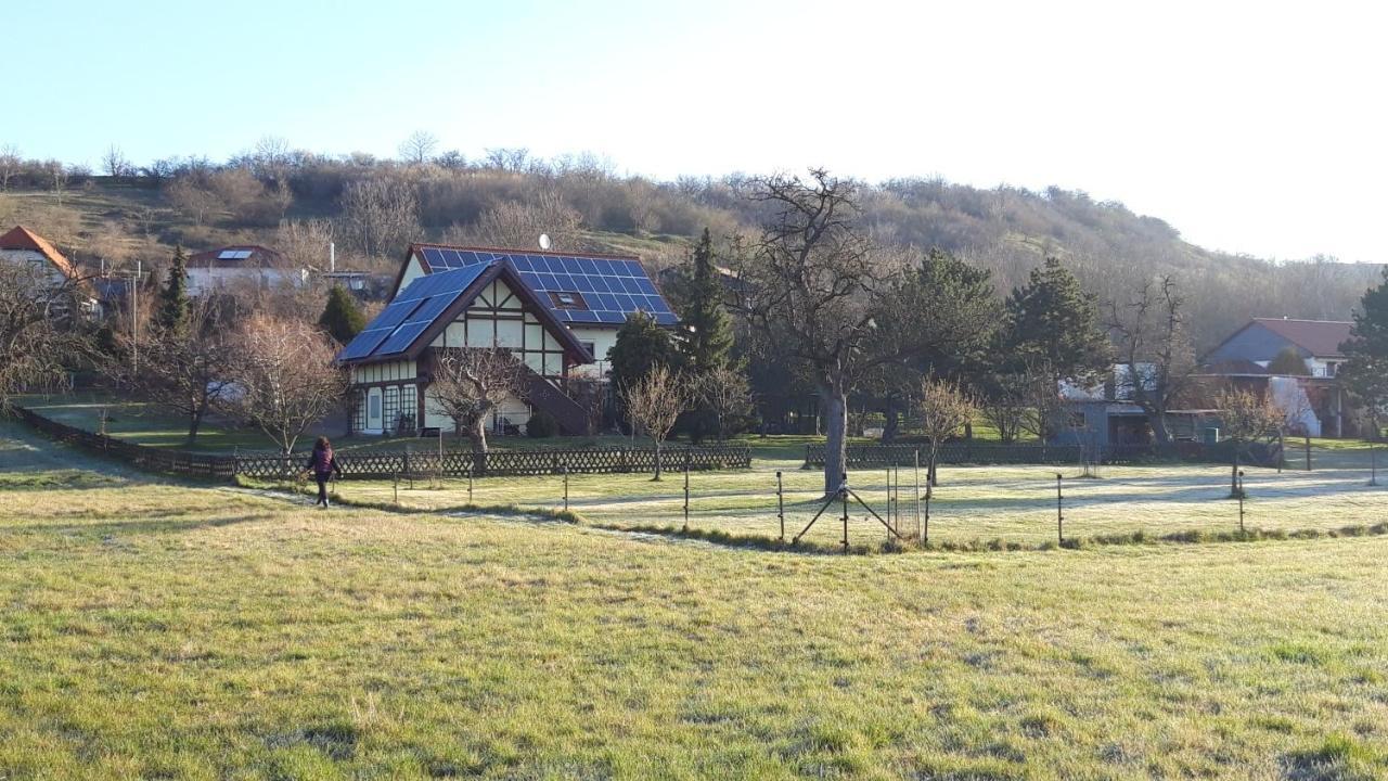 Ferienwohnung Zur Saaleaue Wettin 外观 照片