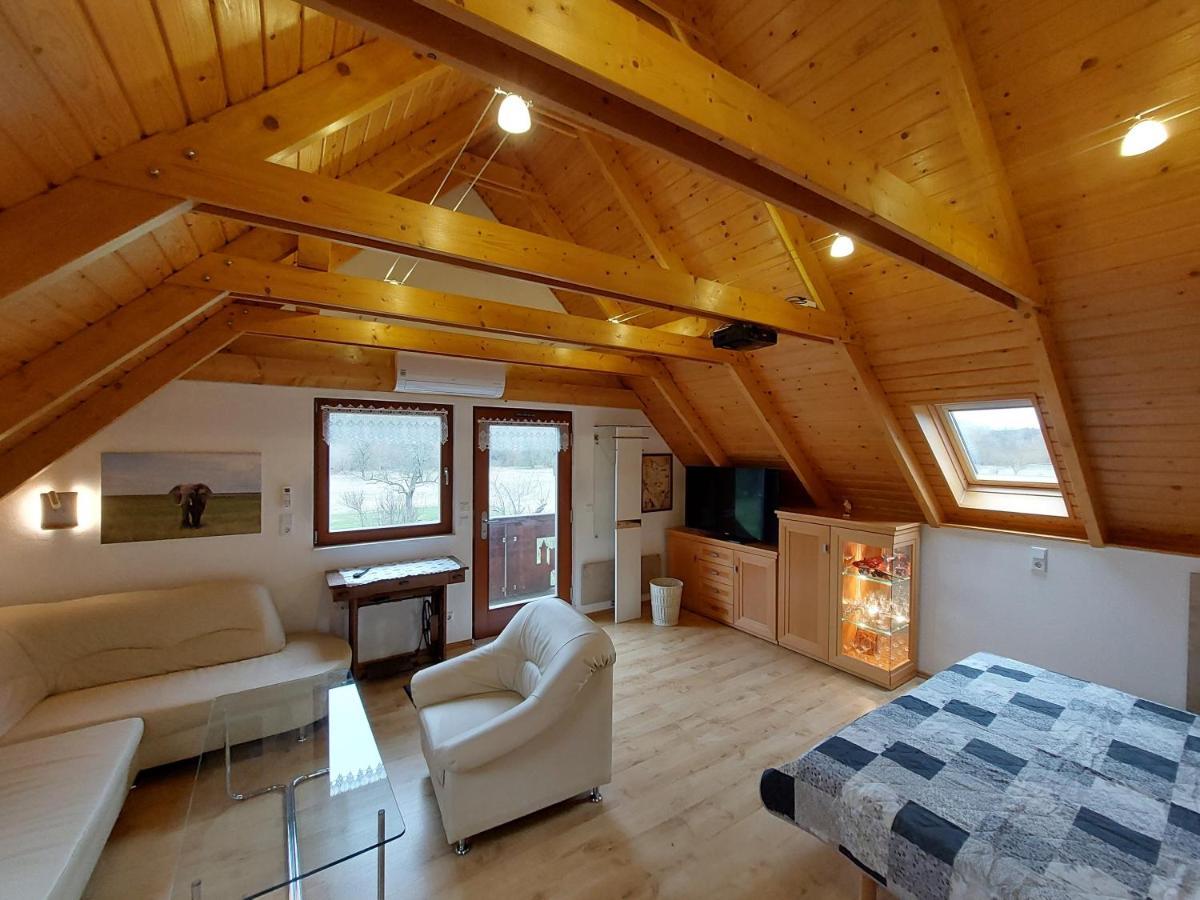 Ferienwohnung Zur Saaleaue Wettin 外观 照片