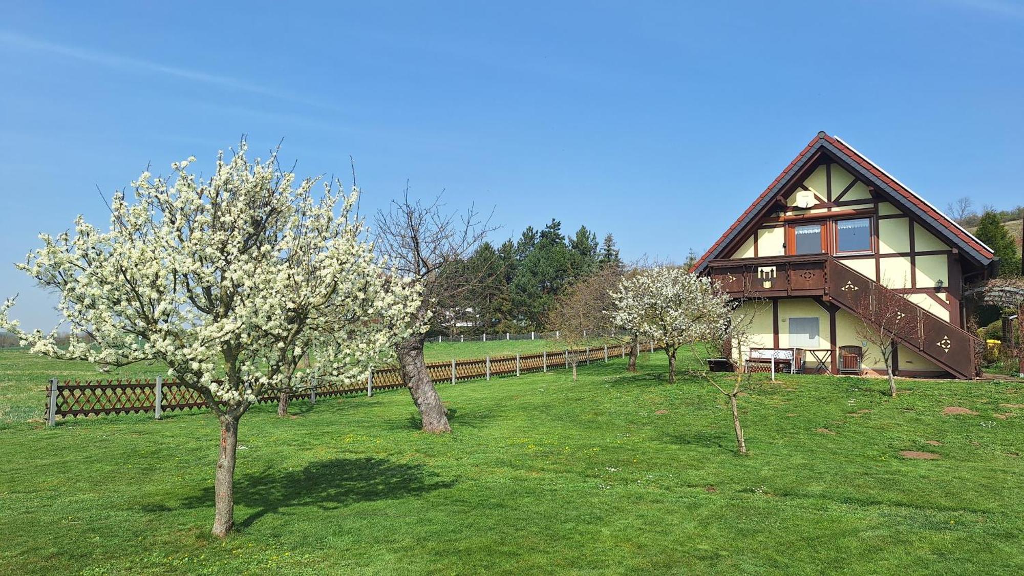 Ferienwohnung Zur Saaleaue Wettin 外观 照片